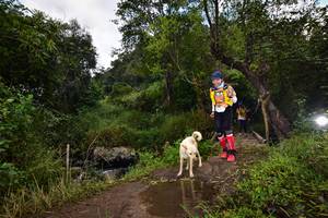 BIB: 1126
                            <button type="button" onclick="openModal(15979498)" class="btn btn-primary btn-sm float-right btn-popup" data-toggle="modal" data-target=".modal-high-quality">
                        <i class="fas fa-shopping-cart"></i> Add to Cart
                    </button>
                                            <button type="button" onclick="isThisMe(15979498, true)" class="btn btn-success btn-sm float-right btn-popup btn-isme hidden" data-toggle="tooltip" data-placement="bottom" title="นี่คือรูปของคุณใช่ไหม คลิกที่นี่เพื่อเอาเข้าอัลบั้ม">
                        <i class="fas fa-plus"></i> Add to album
                    </button>
                    <button type="button" onclick="isThisMe(15979498, false)" class="btn btn-warning btn-sm float-right btn-popup btn-isnotme hidden">
                        <i class="fas fa-ban"></i> Remove from album
                    </button>