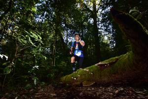 BIB: 3013
                            <button type="button" onclick="openModal(15962033)" class="btn btn-primary btn-sm float-right btn-popup" data-toggle="modal" data-target=".modal-high-quality">
                        <i class="fas fa-shopping-cart"></i> Add to Cart
                    </button>
                                            <button type="button" onclick="isThisMe(15962033, true)" class="btn btn-success btn-sm float-right btn-popup btn-isme hidden" data-toggle="tooltip" data-placement="bottom" title="นี่คือรูปของคุณใช่ไหม คลิกที่นี่เพื่อเอาเข้าอัลบั้ม">
                        <i class="fas fa-plus"></i> Add to album
                    </button>
                    <button type="button" onclick="isThisMe(15962033, false)" class="btn btn-warning btn-sm float-right btn-popup btn-isnotme hidden">
                        <i class="fas fa-ban"></i> Remove from album
                    </button>