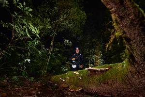 BIB: 3291
                            <button type="button" onclick="openModal(15962836)" class="btn btn-primary btn-sm float-right btn-popup" data-toggle="modal" data-target=".modal-high-quality">
                        <i class="fas fa-shopping-cart"></i> Add to Cart
                    </button>
                                            <button type="button" onclick="isThisMe(15962836, true)" class="btn btn-success btn-sm float-right btn-popup btn-isme hidden" data-toggle="tooltip" data-placement="bottom" title="นี่คือรูปของคุณใช่ไหม คลิกที่นี่เพื่อเอาเข้าอัลบั้ม">
                        <i class="fas fa-plus"></i> Add to album
                    </button>
                    <button type="button" onclick="isThisMe(15962836, false)" class="btn btn-warning btn-sm float-right btn-popup btn-isnotme hidden">
                        <i class="fas fa-ban"></i> Remove from album
                    </button>