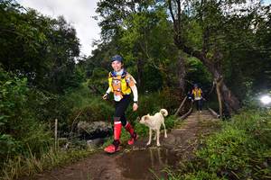 BIB: 
                            <button type="button" onclick="openModal(15979502)" class="btn btn-primary btn-sm float-right btn-popup" data-toggle="modal" data-target=".modal-high-quality">
                        <i class="fas fa-shopping-cart"></i> Add to Cart
                    </button>
                                            <button type="button" onclick="isThisMe(15979502, true)" class="btn btn-success btn-sm float-right btn-popup btn-isme hidden" data-toggle="tooltip" data-placement="bottom" title="นี่คือรูปของคุณใช่ไหม คลิกที่นี่เพื่อเอาเข้าอัลบั้ม">
                        <i class="fas fa-plus"></i> Add to album
                    </button>
                    <button type="button" onclick="isThisMe(15979502, false)" class="btn btn-warning btn-sm float-right btn-popup btn-isnotme hidden">
                        <i class="fas fa-ban"></i> Remove from album
                    </button>