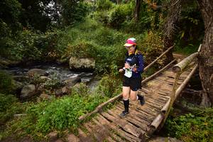 BIB: 1332
                            <button type="button" onclick="openModal(15980932)" class="btn btn-primary btn-sm float-right btn-popup" data-toggle="modal" data-target=".modal-high-quality">
                        <i class="fas fa-shopping-cart"></i> Add to Cart
                    </button>
                                            <button type="button" onclick="isThisMe(15980932, true)" class="btn btn-success btn-sm float-right btn-popup btn-isme hidden" data-toggle="tooltip" data-placement="bottom" title="นี่คือรูปของคุณใช่ไหม คลิกที่นี่เพื่อเอาเข้าอัลบั้ม">
                        <i class="fas fa-plus"></i> Add to album
                    </button>
                    <button type="button" onclick="isThisMe(15980932, false)" class="btn btn-warning btn-sm float-right btn-popup btn-isnotme hidden">
                        <i class="fas fa-ban"></i> Remove from album
                    </button>