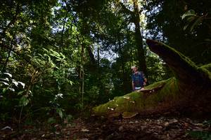 BIB: 
                            <button type="button" onclick="openModal(15961877)" class="btn btn-primary btn-sm float-right btn-popup" data-toggle="modal" data-target=".modal-high-quality">
                        <i class="fas fa-shopping-cart"></i> Add to Cart
                    </button>
                                            <button type="button" onclick="isThisMe(15961877, true)" class="btn btn-success btn-sm float-right btn-popup btn-isme hidden" data-toggle="tooltip" data-placement="bottom" title="นี่คือรูปของคุณใช่ไหม คลิกที่นี่เพื่อเอาเข้าอัลบั้ม">
                        <i class="fas fa-plus"></i> Add to album
                    </button>
                    <button type="button" onclick="isThisMe(15961877, false)" class="btn btn-warning btn-sm float-right btn-popup btn-isnotme hidden">
                        <i class="fas fa-ban"></i> Remove from album
                    </button>