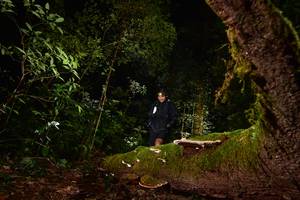 BIB: 
                            <button type="button" onclick="openModal(15962850)" class="btn btn-primary btn-sm float-right btn-popup" data-toggle="modal" data-target=".modal-high-quality">
                        <i class="fas fa-shopping-cart"></i> Add to Cart
                    </button>
                                            <button type="button" onclick="isThisMe(15962850, true)" class="btn btn-success btn-sm float-right btn-popup btn-isme hidden" data-toggle="tooltip" data-placement="bottom" title="นี่คือรูปของคุณใช่ไหม คลิกที่นี่เพื่อเอาเข้าอัลบั้ม">
                        <i class="fas fa-plus"></i> Add to album
                    </button>
                    <button type="button" onclick="isThisMe(15962850, false)" class="btn btn-warning btn-sm float-right btn-popup btn-isnotme hidden">
                        <i class="fas fa-ban"></i> Remove from album
                    </button>