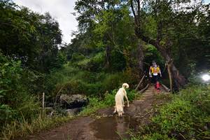 BIB: 1126
                            <button type="button" onclick="openModal(15979490)" class="btn btn-primary btn-sm float-right btn-popup" data-toggle="modal" data-target=".modal-high-quality">
                        <i class="fas fa-shopping-cart"></i> Add to Cart
                    </button>
                                            <button type="button" onclick="isThisMe(15979490, true)" class="btn btn-success btn-sm float-right btn-popup btn-isme hidden" data-toggle="tooltip" data-placement="bottom" title="นี่คือรูปของคุณใช่ไหม คลิกที่นี่เพื่อเอาเข้าอัลบั้ม">
                        <i class="fas fa-plus"></i> Add to album
                    </button>
                    <button type="button" onclick="isThisMe(15979490, false)" class="btn btn-warning btn-sm float-right btn-popup btn-isnotme hidden">
                        <i class="fas fa-ban"></i> Remove from album
                    </button>