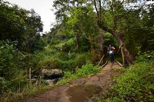 BIB: 1250
                            <button type="button" onclick="openModal(15980403)" class="btn btn-primary btn-sm float-right btn-popup" data-toggle="modal" data-target=".modal-high-quality">
                        <i class="fas fa-shopping-cart"></i> Add to Cart
                    </button>
                                            <button type="button" onclick="isThisMe(15980403, true)" class="btn btn-success btn-sm float-right btn-popup btn-isme hidden" data-toggle="tooltip" data-placement="bottom" title="นี่คือรูปของคุณใช่ไหม คลิกที่นี่เพื่อเอาเข้าอัลบั้ม">
                        <i class="fas fa-plus"></i> Add to album
                    </button>
                    <button type="button" onclick="isThisMe(15980403, false)" class="btn btn-warning btn-sm float-right btn-popup btn-isnotme hidden">
                        <i class="fas fa-ban"></i> Remove from album
                    </button>