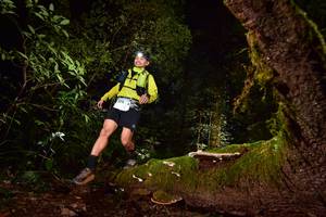 BIB: 3119, 
                            <button type="button" onclick="openModal(15962860)" class="btn btn-primary btn-sm float-right btn-popup" data-toggle="modal" data-target=".modal-high-quality">
                        <i class="fas fa-shopping-cart"></i> Add to Cart
                    </button>
                                            <button type="button" onclick="isThisMe(15962860, true)" class="btn btn-success btn-sm float-right btn-popup btn-isme hidden" data-toggle="tooltip" data-placement="bottom" title="นี่คือรูปของคุณใช่ไหม คลิกที่นี่เพื่อเอาเข้าอัลบั้ม">
                        <i class="fas fa-plus"></i> Add to album
                    </button>
                    <button type="button" onclick="isThisMe(15962860, false)" class="btn btn-warning btn-sm float-right btn-popup btn-isnotme hidden">
                        <i class="fas fa-ban"></i> Remove from album
                    </button>