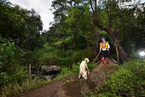 BIB: 1126
                            <button type="button" onclick="openModal(15979493)" class="btn btn-primary btn-sm float-right btn-popup" data-toggle="modal" data-target=".modal-high-quality">
                        <i class="fas fa-shopping-cart"></i> Add to Cart
                    </button>
                                            <button type="button" onclick="isThisMe(15979493, true)" class="btn btn-success btn-sm float-right btn-popup btn-isme hidden" data-toggle="tooltip" data-placement="bottom" title="นี่คือรูปของคุณใช่ไหม คลิกที่นี่เพื่อเอาเข้าอัลบั้ม">
                        <i class="fas fa-plus"></i> Add to album
                    </button>
                    <button type="button" onclick="isThisMe(15979493, false)" class="btn btn-warning btn-sm float-right btn-popup btn-isnotme hidden">
                        <i class="fas fa-ban"></i> Remove from album
                    </button>