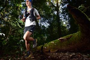 BIB: 167
                            <button type="button" onclick="openModal(15961992)" class="btn btn-primary btn-sm float-right btn-popup" data-toggle="modal" data-target=".modal-high-quality">
                        <i class="fas fa-shopping-cart"></i> Add to Cart
                    </button>
                                            <button type="button" onclick="isThisMe(15961992, true)" class="btn btn-success btn-sm float-right btn-popup btn-isme hidden" data-toggle="tooltip" data-placement="bottom" title="นี่คือรูปของคุณใช่ไหม คลิกที่นี่เพื่อเอาเข้าอัลบั้ม">
                        <i class="fas fa-plus"></i> Add to album
                    </button>
                    <button type="button" onclick="isThisMe(15961992, false)" class="btn btn-warning btn-sm float-right btn-popup btn-isnotme hidden">
                        <i class="fas fa-ban"></i> Remove from album
                    </button>