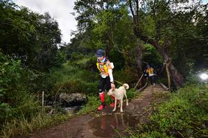 BIB: 1145
                            <button type="button" onclick="openModal(15979501)" class="btn btn-primary btn-sm float-right btn-popup" data-toggle="modal" data-target=".modal-high-quality">
                        <i class="fas fa-shopping-cart"></i> Add to Cart
                    </button>
                                            <button type="button" onclick="isThisMe(15979501, true)" class="btn btn-success btn-sm float-right btn-popup btn-isme hidden" data-toggle="tooltip" data-placement="bottom" title="นี่คือรูปของคุณใช่ไหม คลิกที่นี่เพื่อเอาเข้าอัลบั้ม">
                        <i class="fas fa-plus"></i> Add to album
                    </button>
                    <button type="button" onclick="isThisMe(15979501, false)" class="btn btn-warning btn-sm float-right btn-popup btn-isnotme hidden">
                        <i class="fas fa-ban"></i> Remove from album
                    </button>