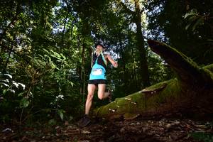 BIB: 3193
                            <button type="button" onclick="openModal(15961899)" class="btn btn-primary btn-sm float-right btn-popup" data-toggle="modal" data-target=".modal-high-quality">
                        <i class="fas fa-shopping-cart"></i> Add to Cart
                    </button>
                                            <button type="button" onclick="isThisMe(15961899, true)" class="btn btn-success btn-sm float-right btn-popup btn-isme hidden" data-toggle="tooltip" data-placement="bottom" title="นี่คือรูปของคุณใช่ไหม คลิกที่นี่เพื่อเอาเข้าอัลบั้ม">
                        <i class="fas fa-plus"></i> Add to album
                    </button>
                    <button type="button" onclick="isThisMe(15961899, false)" class="btn btn-warning btn-sm float-right btn-popup btn-isnotme hidden">
                        <i class="fas fa-ban"></i> Remove from album
                    </button>