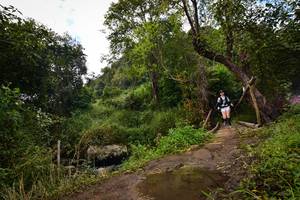 BIB: 
                            <button type="button" onclick="openModal(15980791)" class="btn btn-primary btn-sm float-right btn-popup" data-toggle="modal" data-target=".modal-high-quality">
                        <i class="fas fa-shopping-cart"></i> Add to Cart
                    </button>
                                            <button type="button" onclick="isThisMe(15980791, true)" class="btn btn-success btn-sm float-right btn-popup btn-isme hidden" data-toggle="tooltip" data-placement="bottom" title="นี่คือรูปของคุณใช่ไหม คลิกที่นี่เพื่อเอาเข้าอัลบั้ม">
                        <i class="fas fa-plus"></i> Add to album
                    </button>
                    <button type="button" onclick="isThisMe(15980791, false)" class="btn btn-warning btn-sm float-right btn-popup btn-isnotme hidden">
                        <i class="fas fa-ban"></i> Remove from album
                    </button>