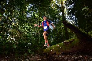 BIB: 
                            <button type="button" onclick="openModal(15961760)" class="btn btn-primary btn-sm float-right btn-popup" data-toggle="modal" data-target=".modal-high-quality">
                        <i class="fas fa-shopping-cart"></i> Add to Cart
                    </button>
                                            <button type="button" onclick="isThisMe(15961760, true)" class="btn btn-success btn-sm float-right btn-popup btn-isme hidden" data-toggle="tooltip" data-placement="bottom" title="นี่คือรูปของคุณใช่ไหม คลิกที่นี่เพื่อเอาเข้าอัลบั้ม">
                        <i class="fas fa-plus"></i> Add to album
                    </button>
                    <button type="button" onclick="isThisMe(15961760, false)" class="btn btn-warning btn-sm float-right btn-popup btn-isnotme hidden">
                        <i class="fas fa-ban"></i> Remove from album
                    </button>