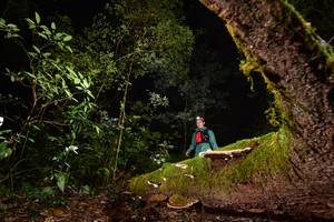 BIB: 
                            <button type="button" onclick="openModal(15962511)" class="btn btn-primary btn-sm float-right btn-popup" data-toggle="modal" data-target=".modal-high-quality">
                        <i class="fas fa-shopping-cart"></i> Add to Cart
                    </button>
                                            <button type="button" onclick="isThisMe(15962511, true)" class="btn btn-success btn-sm float-right btn-popup btn-isme hidden" data-toggle="tooltip" data-placement="bottom" title="นี่คือรูปของคุณใช่ไหม คลิกที่นี่เพื่อเอาเข้าอัลบั้ม">
                        <i class="fas fa-plus"></i> Add to album
                    </button>
                    <button type="button" onclick="isThisMe(15962511, false)" class="btn btn-warning btn-sm float-right btn-popup btn-isnotme hidden">
                        <i class="fas fa-ban"></i> Remove from album
                    </button>