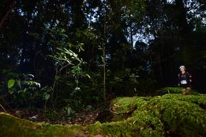 BIB: 3244
                            <button type="button" onclick="openModal(15962285)" class="btn btn-primary btn-sm float-right btn-popup" data-toggle="modal" data-target=".modal-high-quality">
                        <i class="fas fa-shopping-cart"></i> Add to Cart
                    </button>
                                            <button type="button" onclick="isThisMe(15962285, true)" class="btn btn-success btn-sm float-right btn-popup btn-isme hidden" data-toggle="tooltip" data-placement="bottom" title="นี่คือรูปของคุณใช่ไหม คลิกที่นี่เพื่อเอาเข้าอัลบั้ม">
                        <i class="fas fa-plus"></i> Add to album
                    </button>
                    <button type="button" onclick="isThisMe(15962285, false)" class="btn btn-warning btn-sm float-right btn-popup btn-isnotme hidden">
                        <i class="fas fa-ban"></i> Remove from album
                    </button>