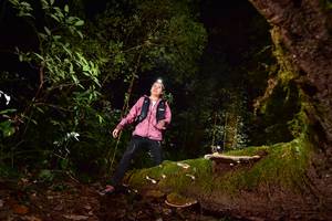 BIB: 
                            <button type="button" onclick="openModal(15962796)" class="btn btn-primary btn-sm float-right btn-popup" data-toggle="modal" data-target=".modal-high-quality">
                        <i class="fas fa-shopping-cart"></i> Add to Cart
                    </button>
                                            <button type="button" onclick="isThisMe(15962796, true)" class="btn btn-success btn-sm float-right btn-popup btn-isme hidden" data-toggle="tooltip" data-placement="bottom" title="นี่คือรูปของคุณใช่ไหม คลิกที่นี่เพื่อเอาเข้าอัลบั้ม">
                        <i class="fas fa-plus"></i> Add to album
                    </button>
                    <button type="button" onclick="isThisMe(15962796, false)" class="btn btn-warning btn-sm float-right btn-popup btn-isnotme hidden">
                        <i class="fas fa-ban"></i> Remove from album
                    </button>