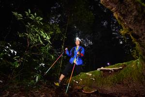 BIB: 
                            <button type="button" onclick="openModal(15962490)" class="btn btn-primary btn-sm float-right btn-popup" data-toggle="modal" data-target=".modal-high-quality">
                        <i class="fas fa-shopping-cart"></i> Add to Cart
                    </button>
                                            <button type="button" onclick="isThisMe(15962490, true)" class="btn btn-success btn-sm float-right btn-popup btn-isme hidden" data-toggle="tooltip" data-placement="bottom" title="นี่คือรูปของคุณใช่ไหม คลิกที่นี่เพื่อเอาเข้าอัลบั้ม">
                        <i class="fas fa-plus"></i> Add to album
                    </button>
                    <button type="button" onclick="isThisMe(15962490, false)" class="btn btn-warning btn-sm float-right btn-popup btn-isnotme hidden">
                        <i class="fas fa-ban"></i> Remove from album
                    </button>