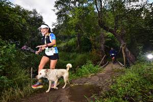 BIB: 1150, 1610
                            <button type="button" onclick="openModal(15979517)" class="btn btn-primary btn-sm float-right btn-popup" data-toggle="modal" data-target=".modal-high-quality">
                        <i class="fas fa-shopping-cart"></i> Add to Cart
                    </button>
                                            <button type="button" onclick="isThisMe(15979517, true)" class="btn btn-success btn-sm float-right btn-popup btn-isme hidden" data-toggle="tooltip" data-placement="bottom" title="นี่คือรูปของคุณใช่ไหม คลิกที่นี่เพื่อเอาเข้าอัลบั้ม">
                        <i class="fas fa-plus"></i> Add to album
                    </button>
                    <button type="button" onclick="isThisMe(15979517, false)" class="btn btn-warning btn-sm float-right btn-popup btn-isnotme hidden">
                        <i class="fas fa-ban"></i> Remove from album
                    </button>