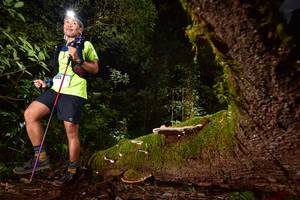 BIB: 5525
                            <button type="button" onclick="openModal(15963253)" class="btn btn-primary btn-sm float-right btn-popup" data-toggle="modal" data-target=".modal-high-quality">
                        <i class="fas fa-shopping-cart"></i> Add to Cart
                    </button>
                                            <button type="button" onclick="isThisMe(15963253, true)" class="btn btn-success btn-sm float-right btn-popup btn-isme hidden" data-toggle="tooltip" data-placement="bottom" title="นี่คือรูปของคุณใช่ไหม คลิกที่นี่เพื่อเอาเข้าอัลบั้ม">
                        <i class="fas fa-plus"></i> Add to album
                    </button>
                    <button type="button" onclick="isThisMe(15963253, false)" class="btn btn-warning btn-sm float-right btn-popup btn-isnotme hidden">
                        <i class="fas fa-ban"></i> Remove from album
                    </button>