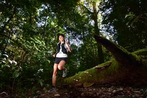 BIB: , 3092
                            <button type="button" onclick="openModal(15961730)" class="btn btn-primary btn-sm float-right btn-popup" data-toggle="modal" data-target=".modal-high-quality">
                        <i class="fas fa-shopping-cart"></i> Add to Cart
                    </button>
                                            <button type="button" onclick="isThisMe(15961730, true)" class="btn btn-success btn-sm float-right btn-popup btn-isme hidden" data-toggle="tooltip" data-placement="bottom" title="นี่คือรูปของคุณใช่ไหม คลิกที่นี่เพื่อเอาเข้าอัลบั้ม">
                        <i class="fas fa-plus"></i> Add to album
                    </button>
                    <button type="button" onclick="isThisMe(15961730, false)" class="btn btn-warning btn-sm float-right btn-popup btn-isnotme hidden">
                        <i class="fas fa-ban"></i> Remove from album
                    </button>