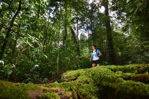 BIB: 30806
                            <button type="button" onclick="openModal(15961364)" class="btn btn-primary btn-sm float-right btn-popup" data-toggle="modal" data-target=".modal-high-quality">
                        <i class="fas fa-shopping-cart"></i> Add to Cart
                    </button>
                                            <button type="button" onclick="isThisMe(15961364, true)" class="btn btn-success btn-sm float-right btn-popup btn-isme hidden" data-toggle="tooltip" data-placement="bottom" title="นี่คือรูปของคุณใช่ไหม คลิกที่นี่เพื่อเอาเข้าอัลบั้ม">
                        <i class="fas fa-plus"></i> Add to album
                    </button>
                    <button type="button" onclick="isThisMe(15961364, false)" class="btn btn-warning btn-sm float-right btn-popup btn-isnotme hidden">
                        <i class="fas fa-ban"></i> Remove from album
                    </button>