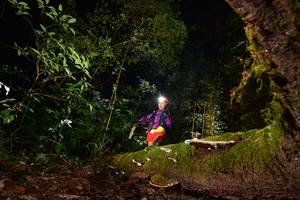 BIB: 
                            <button type="button" onclick="openModal(15962820)" class="btn btn-primary btn-sm float-right btn-popup" data-toggle="modal" data-target=".modal-high-quality">
                        <i class="fas fa-shopping-cart"></i> Add to Cart
                    </button>
                                            <button type="button" onclick="isThisMe(15962820, true)" class="btn btn-success btn-sm float-right btn-popup btn-isme hidden" data-toggle="tooltip" data-placement="bottom" title="นี่คือรูปของคุณใช่ไหม คลิกที่นี่เพื่อเอาเข้าอัลบั้ม">
                        <i class="fas fa-plus"></i> Add to album
                    </button>
                    <button type="button" onclick="isThisMe(15962820, false)" class="btn btn-warning btn-sm float-right btn-popup btn-isnotme hidden">
                        <i class="fas fa-ban"></i> Remove from album
                    </button>