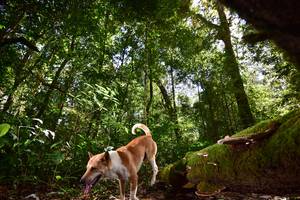 BIB: 
                            <button type="button" onclick="openModal(15961490)" class="btn btn-primary btn-sm float-right btn-popup" data-toggle="modal" data-target=".modal-high-quality">
                        <i class="fas fa-shopping-cart"></i> Add to Cart
                    </button>
                                            <button type="button" onclick="isThisMe(15961490, true)" class="btn btn-success btn-sm float-right btn-popup btn-isme hidden" data-toggle="tooltip" data-placement="bottom" title="นี่คือรูปของคุณใช่ไหม คลิกที่นี่เพื่อเอาเข้าอัลบั้ม">
                        <i class="fas fa-plus"></i> Add to album
                    </button>
                    <button type="button" onclick="isThisMe(15961490, false)" class="btn btn-warning btn-sm float-right btn-popup btn-isnotme hidden">
                        <i class="fas fa-ban"></i> Remove from album
                    </button>