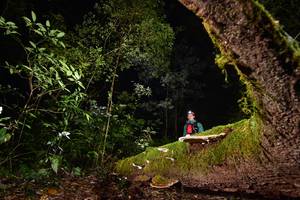 BIB: 
                            <button type="button" onclick="openModal(15962509)" class="btn btn-primary btn-sm float-right btn-popup" data-toggle="modal" data-target=".modal-high-quality">
                        <i class="fas fa-shopping-cart"></i> Add to Cart
                    </button>
                                            <button type="button" onclick="isThisMe(15962509, true)" class="btn btn-success btn-sm float-right btn-popup btn-isme hidden" data-toggle="tooltip" data-placement="bottom" title="นี่คือรูปของคุณใช่ไหม คลิกที่นี่เพื่อเอาเข้าอัลบั้ม">
                        <i class="fas fa-plus"></i> Add to album
                    </button>
                    <button type="button" onclick="isThisMe(15962509, false)" class="btn btn-warning btn-sm float-right btn-popup btn-isnotme hidden">
                        <i class="fas fa-ban"></i> Remove from album
                    </button>