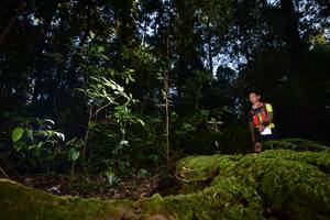 BIB: 
                            <button type="button" onclick="openModal(15962184)" class="btn btn-primary btn-sm float-right btn-popup" data-toggle="modal" data-target=".modal-high-quality">
                        <i class="fas fa-shopping-cart"></i> Add to Cart
                    </button>
                                            <button type="button" onclick="isThisMe(15962184, true)" class="btn btn-success btn-sm float-right btn-popup btn-isme hidden" data-toggle="tooltip" data-placement="bottom" title="นี่คือรูปของคุณใช่ไหม คลิกที่นี่เพื่อเอาเข้าอัลบั้ม">
                        <i class="fas fa-plus"></i> Add to album
                    </button>
                    <button type="button" onclick="isThisMe(15962184, false)" class="btn btn-warning btn-sm float-right btn-popup btn-isnotme hidden">
                        <i class="fas fa-ban"></i> Remove from album
                    </button>