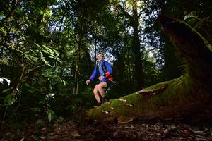 BIB: 
                            <button type="button" onclick="openModal(15961966)" class="btn btn-primary btn-sm float-right btn-popup" data-toggle="modal" data-target=".modal-high-quality">
                        <i class="fas fa-shopping-cart"></i> Add to Cart
                    </button>
                                            <button type="button" onclick="isThisMe(15961966, true)" class="btn btn-success btn-sm float-right btn-popup btn-isme hidden" data-toggle="tooltip" data-placement="bottom" title="นี่คือรูปของคุณใช่ไหม คลิกที่นี่เพื่อเอาเข้าอัลบั้ม">
                        <i class="fas fa-plus"></i> Add to album
                    </button>
                    <button type="button" onclick="isThisMe(15961966, false)" class="btn btn-warning btn-sm float-right btn-popup btn-isnotme hidden">
                        <i class="fas fa-ban"></i> Remove from album
                    </button>