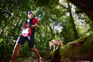 BIB: 
                            <button type="button" onclick="openModal(15961484)" class="btn btn-primary btn-sm float-right btn-popup" data-toggle="modal" data-target=".modal-high-quality">
                        <i class="fas fa-shopping-cart"></i> Add to Cart
                    </button>
                                            <button type="button" onclick="isThisMe(15961484, true)" class="btn btn-success btn-sm float-right btn-popup btn-isme hidden" data-toggle="tooltip" data-placement="bottom" title="นี่คือรูปของคุณใช่ไหม คลิกที่นี่เพื่อเอาเข้าอัลบั้ม">
                        <i class="fas fa-plus"></i> Add to album
                    </button>
                    <button type="button" onclick="isThisMe(15961484, false)" class="btn btn-warning btn-sm float-right btn-popup btn-isnotme hidden">
                        <i class="fas fa-ban"></i> Remove from album
                    </button>