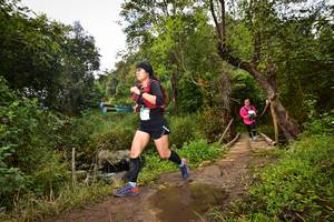 BIB: 1724, 171
                            <button type="button" onclick="openModal(15980560)" class="btn btn-primary btn-sm float-right btn-popup" data-toggle="modal" data-target=".modal-high-quality">
                        <i class="fas fa-shopping-cart"></i> Add to Cart
                    </button>
                                            <button type="button" onclick="isThisMe(15980560, true)" class="btn btn-success btn-sm float-right btn-popup btn-isme hidden" data-toggle="tooltip" data-placement="bottom" title="นี่คือรูปของคุณใช่ไหม คลิกที่นี่เพื่อเอาเข้าอัลบั้ม">
                        <i class="fas fa-plus"></i> Add to album
                    </button>
                    <button type="button" onclick="isThisMe(15980560, false)" class="btn btn-warning btn-sm float-right btn-popup btn-isnotme hidden">
                        <i class="fas fa-ban"></i> Remove from album
                    </button>