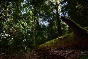 BIB: 
                            <button type="button" onclick="openModal(15961890)" class="btn btn-primary btn-sm float-right btn-popup" data-toggle="modal" data-target=".modal-high-quality">
                        <i class="fas fa-shopping-cart"></i> Add to Cart
                    </button>
                                            <button type="button" onclick="isThisMe(15961890, true)" class="btn btn-success btn-sm float-right btn-popup btn-isme hidden" data-toggle="tooltip" data-placement="bottom" title="นี่คือรูปของคุณใช่ไหม คลิกที่นี่เพื่อเอาเข้าอัลบั้ม">
                        <i class="fas fa-plus"></i> Add to album
                    </button>
                    <button type="button" onclick="isThisMe(15961890, false)" class="btn btn-warning btn-sm float-right btn-popup btn-isnotme hidden">
                        <i class="fas fa-ban"></i> Remove from album
                    </button>