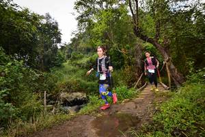 BIB: 288, 1245
                            <button type="button" onclick="openModal(15980511)" class="btn btn-primary btn-sm float-right btn-popup" data-toggle="modal" data-target=".modal-high-quality">
                        <i class="fas fa-shopping-cart"></i> Add to Cart
                    </button>
                                            <button type="button" onclick="isThisMe(15980511, true)" class="btn btn-success btn-sm float-right btn-popup btn-isme hidden" data-toggle="tooltip" data-placement="bottom" title="นี่คือรูปของคุณใช่ไหม คลิกที่นี่เพื่อเอาเข้าอัลบั้ม">
                        <i class="fas fa-plus"></i> Add to album
                    </button>
                    <button type="button" onclick="isThisMe(15980511, false)" class="btn btn-warning btn-sm float-right btn-popup btn-isnotme hidden">
                        <i class="fas fa-ban"></i> Remove from album
                    </button>