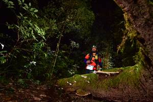 BIB: 3594
                            <button type="button" onclick="openModal(15962870)" class="btn btn-primary btn-sm float-right btn-popup" data-toggle="modal" data-target=".modal-high-quality">
                        <i class="fas fa-shopping-cart"></i> Add to Cart
                    </button>
                                            <button type="button" onclick="isThisMe(15962870, true)" class="btn btn-success btn-sm float-right btn-popup btn-isme hidden" data-toggle="tooltip" data-placement="bottom" title="นี่คือรูปของคุณใช่ไหม คลิกที่นี่เพื่อเอาเข้าอัลบั้ม">
                        <i class="fas fa-plus"></i> Add to album
                    </button>
                    <button type="button" onclick="isThisMe(15962870, false)" class="btn btn-warning btn-sm float-right btn-popup btn-isnotme hidden">
                        <i class="fas fa-ban"></i> Remove from album
                    </button>