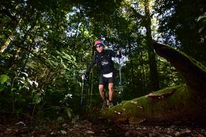 BIB: 
                            <button type="button" onclick="openModal(15961785)" class="btn btn-primary btn-sm float-right btn-popup" data-toggle="modal" data-target=".modal-high-quality">
                        <i class="fas fa-shopping-cart"></i> Add to Cart
                    </button>
                                            <button type="button" onclick="isThisMe(15961785, true)" class="btn btn-success btn-sm float-right btn-popup btn-isme hidden" data-toggle="tooltip" data-placement="bottom" title="นี่คือรูปของคุณใช่ไหม คลิกที่นี่เพื่อเอาเข้าอัลบั้ม">
                        <i class="fas fa-plus"></i> Add to album
                    </button>
                    <button type="button" onclick="isThisMe(15961785, false)" class="btn btn-warning btn-sm float-right btn-popup btn-isnotme hidden">
                        <i class="fas fa-ban"></i> Remove from album
                    </button>