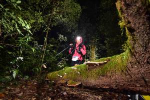 BIB: 3223
                            <button type="button" onclick="openModal(15962562)" class="btn btn-primary btn-sm float-right btn-popup" data-toggle="modal" data-target=".modal-high-quality">
                        <i class="fas fa-shopping-cart"></i> Add to Cart
                    </button>
                                            <button type="button" onclick="isThisMe(15962562, true)" class="btn btn-success btn-sm float-right btn-popup btn-isme hidden" data-toggle="tooltip" data-placement="bottom" title="นี่คือรูปของคุณใช่ไหม คลิกที่นี่เพื่อเอาเข้าอัลบั้ม">
                        <i class="fas fa-plus"></i> Add to album
                    </button>
                    <button type="button" onclick="isThisMe(15962562, false)" class="btn btn-warning btn-sm float-right btn-popup btn-isnotme hidden">
                        <i class="fas fa-ban"></i> Remove from album
                    </button>