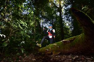 BIB: 2175
                            <button type="button" onclick="openModal(15961910)" class="btn btn-primary btn-sm float-right btn-popup" data-toggle="modal" data-target=".modal-high-quality">
                        <i class="fas fa-shopping-cart"></i> Add to Cart
                    </button>
                                            <button type="button" onclick="isThisMe(15961910, true)" class="btn btn-success btn-sm float-right btn-popup btn-isme hidden" data-toggle="tooltip" data-placement="bottom" title="นี่คือรูปของคุณใช่ไหม คลิกที่นี่เพื่อเอาเข้าอัลบั้ม">
                        <i class="fas fa-plus"></i> Add to album
                    </button>
                    <button type="button" onclick="isThisMe(15961910, false)" class="btn btn-warning btn-sm float-right btn-popup btn-isnotme hidden">
                        <i class="fas fa-ban"></i> Remove from album
                    </button>