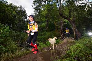 BIB: 114
                            <button type="button" onclick="openModal(15979506)" class="btn btn-primary btn-sm float-right btn-popup" data-toggle="modal" data-target=".modal-high-quality">
                        <i class="fas fa-shopping-cart"></i> Add to Cart
                    </button>
                                            <button type="button" onclick="isThisMe(15979506, true)" class="btn btn-success btn-sm float-right btn-popup btn-isme hidden" data-toggle="tooltip" data-placement="bottom" title="นี่คือรูปของคุณใช่ไหม คลิกที่นี่เพื่อเอาเข้าอัลบั้ม">
                        <i class="fas fa-plus"></i> Add to album
                    </button>
                    <button type="button" onclick="isThisMe(15979506, false)" class="btn btn-warning btn-sm float-right btn-popup btn-isnotme hidden">
                        <i class="fas fa-ban"></i> Remove from album
                    </button>