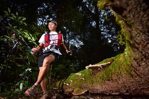 BIB: 
                            <button type="button" onclick="openModal(15962452)" class="btn btn-primary btn-sm float-right btn-popup" data-toggle="modal" data-target=".modal-high-quality">
                        <i class="fas fa-shopping-cart"></i> Add to Cart
                    </button>
                                            <button type="button" onclick="isThisMe(15962452, true)" class="btn btn-success btn-sm float-right btn-popup btn-isme hidden" data-toggle="tooltip" data-placement="bottom" title="นี่คือรูปของคุณใช่ไหม คลิกที่นี่เพื่อเอาเข้าอัลบั้ม">
                        <i class="fas fa-plus"></i> Add to album
                    </button>
                    <button type="button" onclick="isThisMe(15962452, false)" class="btn btn-warning btn-sm float-right btn-popup btn-isnotme hidden">
                        <i class="fas fa-ban"></i> Remove from album
                    </button>