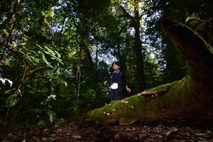 BIB: 076
                            <button type="button" onclick="openModal(15961947)" class="btn btn-primary btn-sm float-right btn-popup" data-toggle="modal" data-target=".modal-high-quality">
                        <i class="fas fa-shopping-cart"></i> Add to Cart
                    </button>
                                            <button type="button" onclick="isThisMe(15961947, true)" class="btn btn-success btn-sm float-right btn-popup btn-isme hidden" data-toggle="tooltip" data-placement="bottom" title="นี่คือรูปของคุณใช่ไหม คลิกที่นี่เพื่อเอาเข้าอัลบั้ม">
                        <i class="fas fa-plus"></i> Add to album
                    </button>
                    <button type="button" onclick="isThisMe(15961947, false)" class="btn btn-warning btn-sm float-right btn-popup btn-isnotme hidden">
                        <i class="fas fa-ban"></i> Remove from album
                    </button>