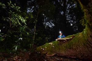 BIB: 
                            <button type="button" onclick="openModal(15962459)" class="btn btn-primary btn-sm float-right btn-popup" data-toggle="modal" data-target=".modal-high-quality">
                        <i class="fas fa-shopping-cart"></i> Add to Cart
                    </button>
                                            <button type="button" onclick="isThisMe(15962459, true)" class="btn btn-success btn-sm float-right btn-popup btn-isme hidden" data-toggle="tooltip" data-placement="bottom" title="นี่คือรูปของคุณใช่ไหม คลิกที่นี่เพื่อเอาเข้าอัลบั้ม">
                        <i class="fas fa-plus"></i> Add to album
                    </button>
                    <button type="button" onclick="isThisMe(15962459, false)" class="btn btn-warning btn-sm float-right btn-popup btn-isnotme hidden">
                        <i class="fas fa-ban"></i> Remove from album
                    </button>