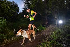 BIB: 121
                            <button type="button" onclick="openModal(15975595)" class="btn btn-primary btn-sm float-right btn-popup" data-toggle="modal" data-target=".modal-high-quality">
                        <i class="fas fa-shopping-cart"></i> Add to Cart
                    </button>
                                            <button type="button" onclick="isThisMe(15975595, true)" class="btn btn-success btn-sm float-right btn-popup btn-isme hidden" data-toggle="tooltip" data-placement="bottom" title="นี่คือรูปของคุณใช่ไหม คลิกที่นี่เพื่อเอาเข้าอัลบั้ม">
                        <i class="fas fa-plus"></i> Add to album
                    </button>
                    <button type="button" onclick="isThisMe(15975595, false)" class="btn btn-warning btn-sm float-right btn-popup btn-isnotme hidden">
                        <i class="fas fa-ban"></i> Remove from album
                    </button>