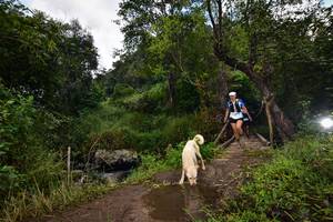 BIB: 501, 1150, 1610
                            <button type="button" onclick="openModal(15979510)" class="btn btn-primary btn-sm float-right btn-popup" data-toggle="modal" data-target=".modal-high-quality">
                        <i class="fas fa-shopping-cart"></i> Add to Cart
                    </button>
                                            <button type="button" onclick="isThisMe(15979510, true)" class="btn btn-success btn-sm float-right btn-popup btn-isme hidden" data-toggle="tooltip" data-placement="bottom" title="นี่คือรูปของคุณใช่ไหม คลิกที่นี่เพื่อเอาเข้าอัลบั้ม">
                        <i class="fas fa-plus"></i> Add to album
                    </button>
                    <button type="button" onclick="isThisMe(15979510, false)" class="btn btn-warning btn-sm float-right btn-popup btn-isnotme hidden">
                        <i class="fas fa-ban"></i> Remove from album
                    </button>