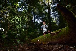 BIB: 3191
                            <button type="button" onclick="openModal(15962005)" class="btn btn-primary btn-sm float-right btn-popup" data-toggle="modal" data-target=".modal-high-quality">
                        <i class="fas fa-shopping-cart"></i> Add to Cart
                    </button>
                                            <button type="button" onclick="isThisMe(15962005, true)" class="btn btn-success btn-sm float-right btn-popup btn-isme hidden" data-toggle="tooltip" data-placement="bottom" title="นี่คือรูปของคุณใช่ไหม คลิกที่นี่เพื่อเอาเข้าอัลบั้ม">
                        <i class="fas fa-plus"></i> Add to album
                    </button>
                    <button type="button" onclick="isThisMe(15962005, false)" class="btn btn-warning btn-sm float-right btn-popup btn-isnotme hidden">
                        <i class="fas fa-ban"></i> Remove from album
                    </button>