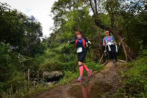 BIB: , 664
                            <button type="button" onclick="openModal(15980769)" class="btn btn-primary btn-sm float-right btn-popup" data-toggle="modal" data-target=".modal-high-quality">
                        <i class="fas fa-shopping-cart"></i> Add to Cart
                    </button>
                                            <button type="button" onclick="isThisMe(15980769, true)" class="btn btn-success btn-sm float-right btn-popup btn-isme hidden" data-toggle="tooltip" data-placement="bottom" title="นี่คือรูปของคุณใช่ไหม คลิกที่นี่เพื่อเอาเข้าอัลบั้ม">
                        <i class="fas fa-plus"></i> Add to album
                    </button>
                    <button type="button" onclick="isThisMe(15980769, false)" class="btn btn-warning btn-sm float-right btn-popup btn-isnotme hidden">
                        <i class="fas fa-ban"></i> Remove from album
                    </button>