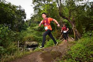 BIB: 1736, 1740
                            <button type="button" onclick="openModal(15980438)" class="btn btn-primary btn-sm float-right btn-popup" data-toggle="modal" data-target=".modal-high-quality">
                        <i class="fas fa-shopping-cart"></i> Add to Cart
                    </button>
                                            <button type="button" onclick="isThisMe(15980438, true)" class="btn btn-success btn-sm float-right btn-popup btn-isme hidden" data-toggle="tooltip" data-placement="bottom" title="นี่คือรูปของคุณใช่ไหม คลิกที่นี่เพื่อเอาเข้าอัลบั้ม">
                        <i class="fas fa-plus"></i> Add to album
                    </button>
                    <button type="button" onclick="isThisMe(15980438, false)" class="btn btn-warning btn-sm float-right btn-popup btn-isnotme hidden">
                        <i class="fas fa-ban"></i> Remove from album
                    </button>