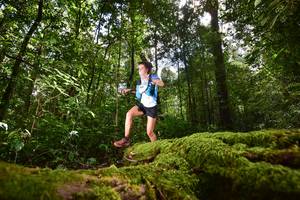 BIB: 308
                            <button type="button" onclick="openModal(15961390)" class="btn btn-primary btn-sm float-right btn-popup" data-toggle="modal" data-target=".modal-high-quality">
                        <i class="fas fa-shopping-cart"></i> Add to Cart
                    </button>
                                            <button type="button" onclick="isThisMe(15961390, true)" class="btn btn-success btn-sm float-right btn-popup btn-isme hidden" data-toggle="tooltip" data-placement="bottom" title="นี่คือรูปของคุณใช่ไหม คลิกที่นี่เพื่อเอาเข้าอัลบั้ม">
                        <i class="fas fa-plus"></i> Add to album
                    </button>
                    <button type="button" onclick="isThisMe(15961390, false)" class="btn btn-warning btn-sm float-right btn-popup btn-isnotme hidden">
                        <i class="fas fa-ban"></i> Remove from album
                    </button>