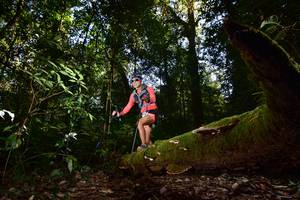 BIB: 
                            <button type="button" onclick="openModal(15961953)" class="btn btn-primary btn-sm float-right btn-popup" data-toggle="modal" data-target=".modal-high-quality">
                        <i class="fas fa-shopping-cart"></i> Add to Cart
                    </button>
                                            <button type="button" onclick="isThisMe(15961953, true)" class="btn btn-success btn-sm float-right btn-popup btn-isme hidden" data-toggle="tooltip" data-placement="bottom" title="นี่คือรูปของคุณใช่ไหม คลิกที่นี่เพื่อเอาเข้าอัลบั้ม">
                        <i class="fas fa-plus"></i> Add to album
                    </button>
                    <button type="button" onclick="isThisMe(15961953, false)" class="btn btn-warning btn-sm float-right btn-popup btn-isnotme hidden">
                        <i class="fas fa-ban"></i> Remove from album
                    </button>