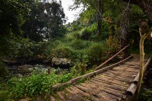 BIB: 
                            <button type="button" onclick="openModal(15980935)" class="btn btn-primary btn-sm float-right btn-popup" data-toggle="modal" data-target=".modal-high-quality">
                        <i class="fas fa-shopping-cart"></i> Add to Cart
                    </button>
                                            <button type="button" onclick="isThisMe(15980935, true)" class="btn btn-success btn-sm float-right btn-popup btn-isme hidden" data-toggle="tooltip" data-placement="bottom" title="นี่คือรูปของคุณใช่ไหม คลิกที่นี่เพื่อเอาเข้าอัลบั้ม">
                        <i class="fas fa-plus"></i> Add to album
                    </button>
                    <button type="button" onclick="isThisMe(15980935, false)" class="btn btn-warning btn-sm float-right btn-popup btn-isnotme hidden">
                        <i class="fas fa-ban"></i> Remove from album
                    </button>