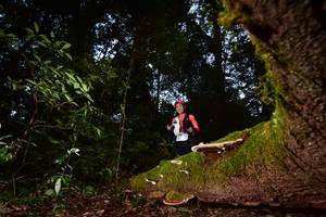 BIB: 366
                            <button type="button" onclick="openModal(15962423)" class="btn btn-primary btn-sm float-right btn-popup" data-toggle="modal" data-target=".modal-high-quality">
                        <i class="fas fa-shopping-cart"></i> Add to Cart
                    </button>
                                            <button type="button" onclick="isThisMe(15962423, true)" class="btn btn-success btn-sm float-right btn-popup btn-isme hidden" data-toggle="tooltip" data-placement="bottom" title="นี่คือรูปของคุณใช่ไหม คลิกที่นี่เพื่อเอาเข้าอัลบั้ม">
                        <i class="fas fa-plus"></i> Add to album
                    </button>
                    <button type="button" onclick="isThisMe(15962423, false)" class="btn btn-warning btn-sm float-right btn-popup btn-isnotme hidden">
                        <i class="fas fa-ban"></i> Remove from album
                    </button>